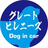 Dog in car ドッグインカー ステッカー カーステッカー グレートピレニーズ 毛筆書体 ブルー シール 煽り運転対策 カーサイン