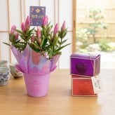 【敬老の日】リンドウ鉢＆グリッタービジュ・スクエアセット（鉢花とグミセット）　花とスイーツのセット 人気 おじいちゃん おばあちゃん お祝い 感謝 お菓子 食品 おすすめ