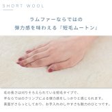 ムートンシートクッション 短毛タイプ 50×50cm (大判サイズ) 毛皮 ムートンクッション ムートン クッション 座布団 ソファー 暖かい 短毛 シートクッション 冷え性対策 夏でもさらさら エアコン対策 おしゃれ 韓国インテリア 北欧 かわいい