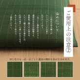 座布団 い草座布団 日本製 抗菌防臭 消臭 湿度調整 蒸れにくい 涼しい モダン 無地 5枚組 55×55cm 和風モダンのシンプルない草座布団 国産 ウレタン 座ぶとん ざぶとん フロアクッション 和室クッション 寝具 寝室用品 インテリア 汚れにくい 新生活