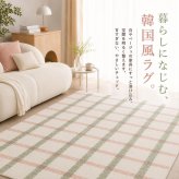 韓国ラグ チェック柄 洗える ラグマット 滑り止め付き 100×150cm 130×190cm 190×190cm 3サイズ 薄手 約5mm マイクロファイバー 韓国インテリア 北欧 おしゃれ かわいい パステル ピンク グリーン ペット オールシーズン