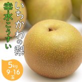 楽天ランキング受賞！ 予約販売 いちかわの梨 梨 幸水 こうすい 5kg 9～16玉 千葉県産 市川 なし 旬 果物 果実 フルーツ グルメ ギフト プレゼント 贈答品 贈答用 お盆 暑中見舞い 和梨 初節句