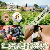 お歳暮 お酒 ワインとシャンパン 2本セット フランス ローヌ オーガニック ビオ BIO 赤ワイン 500ml パーカーポイント高得点 シャンパーニュ泡 辛口 375ml ハーフボトル 誕生日 内祝い お返し 家族 友人 熨斗可 ギフト箱付 送料無料
