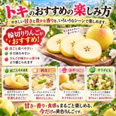 青森県産　りんご　ご家庭用　トキ　3ｋｇ　7〜15玉　送料無料！