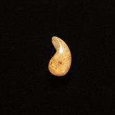 天然石 勾玉ゴールドルチル 約1g 華やかに黄金色に染まる 仕事運 成功 お守り GHM50 スエードコードor交換用ゴム付＆巾着付 財運 石 京海堂