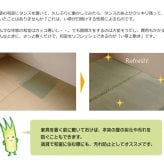 夏ラグ 夏用カーペット フリーカット い草 上敷き カーペット 『F不知火』 三六間6畳(約273×364cm）(裏:ウレタン張り）