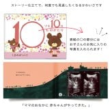 くまのがっこう エコー写真が収納できるアルバム 「10ツキ10カものがたり」 | エコー写真 保存 エコーアルバム フォトアルバム マタニティアルバム フォト アルバム 写真