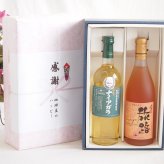 実りの秋の贈り物 感謝の贈り物ボックス 長野県産葡萄ナイアガラ種使用ワインと国産ワイン2本セット(おたる醸造 旅路orange 白ワイン やや辛口(北海道)720mlシャンモリナイアガラやや甘口白ワイン(山梨県)720ml