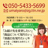 若狭カレイ 一塩干し ミニサイズ 3尾 3セット 6セット カレイ 一夜干し 保存料不使用 干物 天神講 天神様
