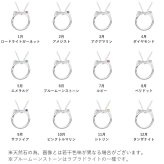  [Mirai-Tenshi]  選べる誕生石 ネコ モチーフ ペアペンダント ネックレス シルバー 誕生石 対応 【MIP11025-26】2個セット お揃い 猫 ねこ アクセサリー 女性 男性 誕生日 プレゼント 誕生日プレゼント ギフトラッピング付 おすすめ 記念日 秋アクセ　秋ジュエリー ご褒美ジュエリー