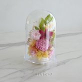 プリザーブドフラワー お供え花 クリアドーム 花あかり｜プリザーブドフラワー お供え花 仏花 クリアドーム 仏壇用 初盆 新盆 四十九日 一回忌 お手入れ簡単 水替え不要 ほこりが入りにくい お悔やみ お彼岸 即日発送 送料無料