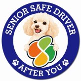 カーサイン 高齢者マーク SENIOR SAFE DRIVER ミディアムプードル マグネット 強力 直径13cm 肉球 日本製 車 ステッカー