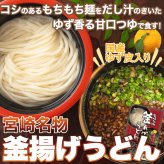 宮崎名物 釜あげうどん 6食分 つゆ 薬味付き うどん 生麺 つゆ付き 麺 郷土料理 宮崎 ポスト投函便
