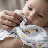 ガーゼハンカチ ウォッシュクロス 3枚セット 出産祝い aden+anais エイデンアンドアネイ ヴィンテージカー ガーゼタオル ループ付き コットン100% ダブルガーゼ3層 約27.5cm角 沐浴布 お口拭き よだれ拭き ハンカチ タオル 入園準備 内祝い 出産内祝い 男の子 女の子 ギフト