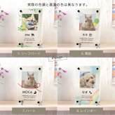アクリル フォトスタンド ペット オーダー 名入れ 犬 猫 アクリルフォトフレーム アクリルフォトスタンド おしゃれ スタンド 写真立て メモリアル プレゼント ギフト ラッピング