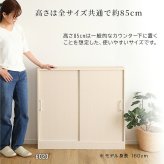 食器棚 キッチン収納 さわやかなカウンター下引き戸収納6020 FKSS-6020--WHW ホワイトウォッシュ 幅60cm・奥行20cm ホームテイスト カウンター下 引き戸 薄型 幅60cm 奥行20cm キッチン 収納 スリム 薄型収納 台所：