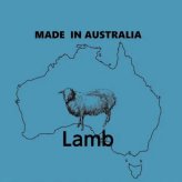 オージーラムプラス Aussie Lamb Plus ドッグフード シニア 犬用 900g