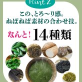 無添加 すごいねばねばグリーンポタージュダイエットスープ12食