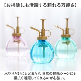 霧吹き 観葉植物 通販 スプレーボトル スプレー容器 鉢植え 水やり 花 植物 多肉植物 おしゃれ かわいい ガーデニング 園芸 掃除 南瓜型 可愛い 室内 屋外 オシャレ インテリア 散水用品