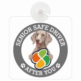 カーサイン 高齢者マーク SENIOR SAFE DRIVER ワイマラナー 車内用 吸盤タイプ 収れん火災防止タイプ 肉球 日本製 車 ステッカー