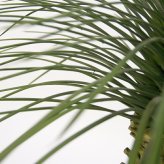 観葉植物 造花 ユッカ ロストラータ BROWN 全高約91cm 中型 フェイクグリーン 本物そっくり おしゃれ インテリア 人工観葉植物 アーティフィシャルグリーン オフィス 店舗 ホテル 開店祝い 室内 ブルー フェイク