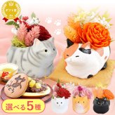 敬老の日 すぐ贈れるギフト 即日発送 誕生日 プレゼント ギフト 花 プリザーブドフラワー フラワーアレンジメント 薔薇 バラ あじさい 猫 ネコ 猫グッズ 猫好き インテリア 実用的 おしゃれ 可愛い どら焼き 送料無料 スイーツ お菓子 和菓子 ギフトセット 母 実母 自分の母 義母 妻 40代 50代 60代 70代 花セット 花とお菓子 おいもや