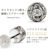 ハワイアンジュエリー ピアス ホワイトゴールド ピアス スタッドピアス ダイヤモンド 0.05ct カラット 一粒ダイヤ 片耳(1個)購入可 K14 14K シリコンキャッチ シンプル 20G ゲージ BY THE SEA バイザシー メンズ レディース プレゼント ハロウィン 【品番：GE105W】