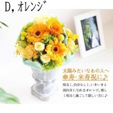 プレゼント ギフト 花 プリザーブドフラワー  ハロウィン 七五三 いい夫婦の日 卒業 入学 退職 送別 誕生日 プレゼント  送別 入学 ギフト  豪華アレンジ★クリアケース付き お祝 豪華 高額 見栄え 誕生日 ブリザーブド プリザ お花 妻 彼女 結婚祝 昇進 移転 開店 開業 還暦 古希 喜寿 傘寿 米寿 卒寿 白寿
