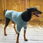 MANDARINE BROTHERS マンダリンブラザーズ ロングスリーブ Tシャツ　XL、XLB、XXL