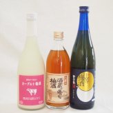 梅酒のみ比べ3本セット(ヨーグルト梅酒(福岡) 八鹿の酒蔵で造った梅酒(大分) 無添加上等梅酒(鹿児島)) 720ml×2本 500ml×1本