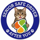 カーサイン 高齢者マーク SENIOR SAFE DRIVER キジトラ マグネット 強力 直径13cm 肉球 日本製 車 ステッカー