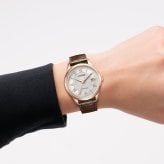シチズンコレクション CITIZEN COLLECTION メカニカル 自動巻き 機械式 腕時計 メンズ NJ0252-05A【2026 新作】