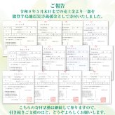 毛のかたさ選べる 歯科専用歯ブラシ Gupita グピタ (毛のかたさ：Mふつう／Sやわらかめ) 20本 (メール便3点まで) 【メール便送料無料】(※日時指定不可)／ 理想の歯ブラシ 全5色 個包装 ／ 復興支援商品 新生活