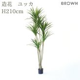 観葉植物 造花 ユッカ BROWN 全高約210cm 大型 フェイクグリーン 高級 本物そっくり リアル おしゃれ スタイリッシュ インテリア 人工観葉植物 アーティフィシャルグリーン モダン オフィス 店舗 ホテル 開店祝い 室内 リビング 玄関 風水 青年の木