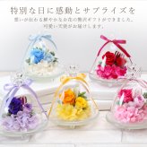 プリザーブドフラワー誕生日 結婚祝い 結婚記念日 誕生日 退職祝い 飾り 置物 インテリア 開店祝い 記念日 ギフト 名入れ かわいい おしゃれ 天使 プレゼント 長寿祝い 母親 彼女 《 Happiness Flower Dome ～天使の贈り物～ 》 翌営業日出荷