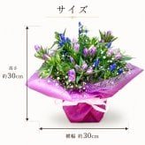 リンドウ りんどう 竜胆花 秋  アレンジメント アレンジ ラッピング無料 お祝い 誕生日 開業祝い 移転祝い 昇進 就任 還暦 フラワーギフト プレゼント お花のプレゼント