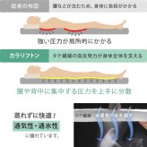 敷き布団 シングル 除湿 吸湿する1枚で寝られるオールインワン敷布団 karari カラリフトン カラリ シングル 敷布団 洗える 防ダニ 三つ折り 除湿シート 吸湿