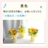 【花瓶いらずのミニブーケ】【選べる3色】【Sサイズ】【クール便】そのまま飾れる 到着日指定可 最短翌日お届け スタンドブーケ スタンディングブーケ | 敬老の日 誕生日 結婚祝い 出産祝い 還暦祝い 退職祝い 結婚記念日 引っ越し祝い 新築祝い 産休祝い 開業・開店祝い 記念日 開店祝い 周年祝い ペットのお悔やみ お悔やみ