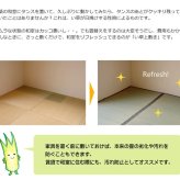 夏ラグ 夏用カーペット 純国産 い草 上敷き カーペット 糸引織 『湯沢』 江戸間2畳(約176×176cm）
