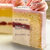 【選べるデザイン16種】韓国発 誕生日ケーキ センイルケーキ 5号 5～6名様 推しケーキ 推し活 韓国スイーツ かわいい 人気 バースデー バースデーケーキ プレゼント お取り寄せ 記念日 ケーキ ギフト スイーツ SNS映え 女性 洋菓子 センイル