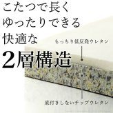 フロアソファー セット 低反発 フリースタイルローソファ〔ルシオ〕3点セット ローソファー カウチソファー こたつ 一人暮らし 二人暮らし クッション付 ファブリック 1年中快適 国産 日本製 座椅子 コンパクト かわいい おしゃれ 新生活 テレワーク