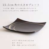 【4柄から2枚選べる】吹上皿 大 ペアセット 22.5cm 越前漆器 日本製 角皿 大皿 パスタ皿 盛皿 結婚祝い 新築祝い 結婚記念日 ギフト
