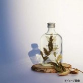 ディフューザー 180ml ホワイトヴェルモット ルームフレグランス リードディフューザー おしゃれ アロマ 芳香剤 香り インテリア 雑貨 癒し プレゼント ギフト