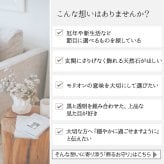 パワーストーン 浄化セット 厄除け 置物 最強の魔除け モリオン ポイント さざれ石 原石 ガラス皿 ブレスレットの浄化用 風水 玄関 部屋 厄払い 厄年 9月 誕生日 一人暮らし 引っ越し祝い プレゼント