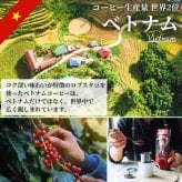 【MR.VIET｜ミスターベト】ベトナムコーヒー 4in1 |ベトナムの甘いカプチーノ（砂糖・クリーム入り）｜チョコレートフレーバー｜スティックタイプ