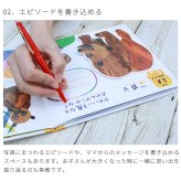 アルバムしかけ絵本 「せいちょうものがたり」～ERIC CARLE～ | はらぺこあおむし エコー写真 保存 エコーアルバム フォトアルバム マタニティアルバム 写真 アルバム
