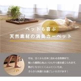 ラグ カーペット 竹 裏地付き 天然素材 丈夫 抗菌防臭 消臭 お手入れ お掃除 簡単 楽 約261×352cm