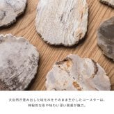 amabro アマブロ WOOD COASTER ウッドコースター 木のコースター 木製コースター 木製 珪化木 村上美術 コースター プレート