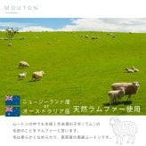 ムートンシートクッション 短毛タイプ 40×40cm (大判サイズ) 毛皮 ムートンクッション ムートン クッション 座布団 ソファー 暖かい 短毛 シートクッション 冷え性対策 夏でもさらさら エアコン対策 おしゃれ 韓国インテリア 北欧 かわいい