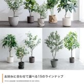【高さ200cm】光触媒人工観葉植物 ユーカリ 幅70cm×奥行60cm×高さ200cm オフィス 天然木 ポリエステル 組立品 お部屋に気軽に飾れて空間を美しく彩るフェイクグリーン 本物の植物のようなリアルな質感とインテリアに馴染む風合いが魅力です